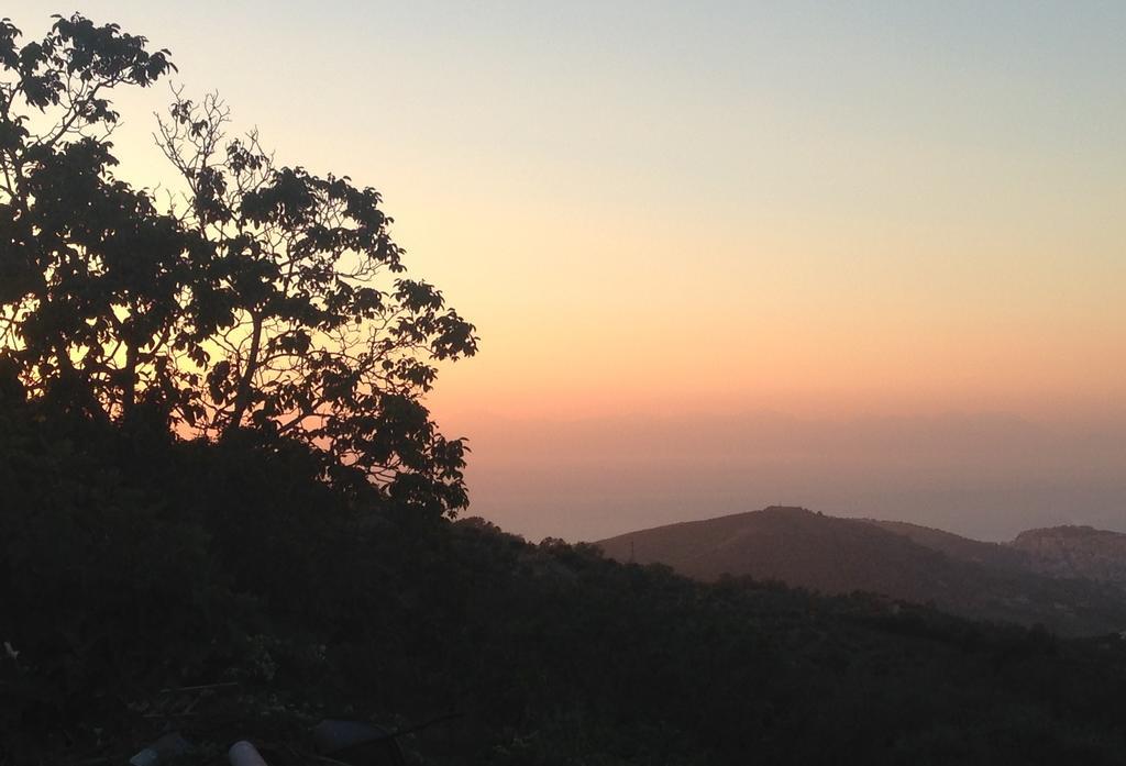 Al Casale Dei Nonni Bed & Breakfast Laureana Cilento ภายนอก รูปภาพ